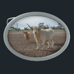 Boucle De Ceinture Ovale Bétail sur la perte : Highland Cows Blé Heist<br><div class="desc">Montée dans un enclos maintenant stérile,  cette coquine vache des Highlands a mangé les semis</div>