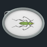 Boucle De Ceinture Ovale Bousier vert<br><div class="desc">Illustration vectorielle dessinée à la main du coléoptère vert</div>
