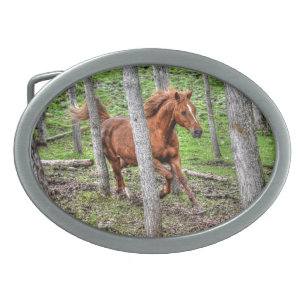 Boucle De Ceinture Ovale Cantering Runn Dun Horse and Forest Photo
