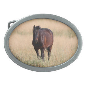 Boucle De Ceinture Ovale Cheval Mustang sauvage de Brown Bay
