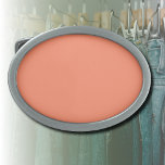 Boucle De Ceinture Ovale Couleur solide rose saumon | Couleur tendance<br><div class="desc">Couleur solide rose saumon | Conception classique | Produit élégant | Couleur tendance | Style et mode | Cadeau</div>