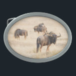 Boucle De Ceinture Ovale Groupe de gnous<br><div class="desc">Un groupe de gnous au Parc Transfrontalier de Kgalagadi,  en Afrique du Sud. © Angelika Stern</div>