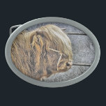 BOUCLE DE CEINTURE OVALE HIGHLAND VW<br><div class="desc">Un design artistique d'une belle vache Highland.</div>