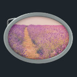Boucle De Ceinture Ovale Lavander<br><div class="desc">Lavander</div>