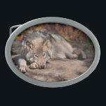 Boucle De Ceinture Ovale Loup de bois<br><div class="desc">Beaucoup de gens ont une fascination pour les loups. Avec cet article,  je partage mon amour pour ces animaux extraordinaires.</div>
