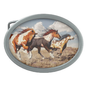 Boucle De Ceinture Ovale Mustangs galopants