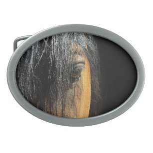 Boucle De Ceinture Ovale OEil d'une baie équine de cheval photo