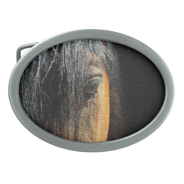 Boucle De Ceinture Ovale OEil d'une baie équine de cheval photo (Devant)