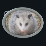 Boucle De Ceinture Ovale Opossum impressionnant<br><div class="desc">L'image de faune comporte un portrait d'un opossum.</div>