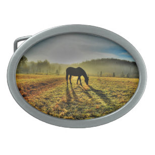 Boucle De Ceinture Ovale Pâturage à cheval au lever du soleil dans le champ