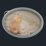 Boucle De Ceinture Ovale Prairie dog<br><div class="desc">Prairie dog. This cute creature is just to nice and seems to be flattered as I took this image. J'aime him alone as he is enjoying his breakfast. Wiki: Prairie dogs (genre Cynomys) are burrowing rodents native to the grasslands of North America. Prairie dogs are named for their habitat and...</div>