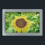 Boucle De Ceinture Rectangulaire Abeille sur tournesol jaune<br><div class="desc">Terrain de tournesol. Photo de l'artiste Sandy Closs. Automne et automne arrière - plan d'un champ ensoleillé de tournesols jaunes et or. Personnalisez avec votre propre texte. Automne,  tournesol,  été,  jaune,  or,  automne,  nature fleurs jardin</div>