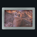 Boucle De Ceinture Rectangulaire Joyeux Tau<br><div class="desc">Happy Tau, lion en langue tetswana du Botswana, des photographies de nature et des cadeaux présente une belle photo d'un jeune lion en Afrique prise par Kurt Keller avec un appareil photo de 35 mm lors d'un safari africain au Botswana. Quiconque aime les animaux et tous les amateurs de lions...</div>