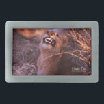Boucle De Ceinture Rectangulaire Joyeux Tau<br><div class="desc">Happy Tau, lion en langue tetswana du Botswana, des photographies de nature et des cadeaux présente une belle photo d'un jeune lion en Afrique prise par Kurt Keller avec un appareil photo de 35 mm lors d'un safari africain au Botswana. Quiconque aime les animaux et tous les amateurs de lions...</div>
