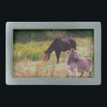 Boucle De Ceinture Rectangulaire Un âne et un cheval dans un champ d'automne.<br><div class="desc">Un âne et un cheval dans un champ d'automne. Photo de Sandy Closs. Âne Automne,  automne,  ferme " animaux de ferme"ânes,  buron,  "mignon âne",  mule,  cul</div>