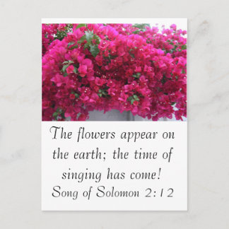 Bougainvilla - Schrift: Zong van Solomon 2:12 Briefkaart