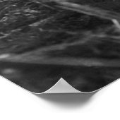 Bougainville Poster (Hoek)