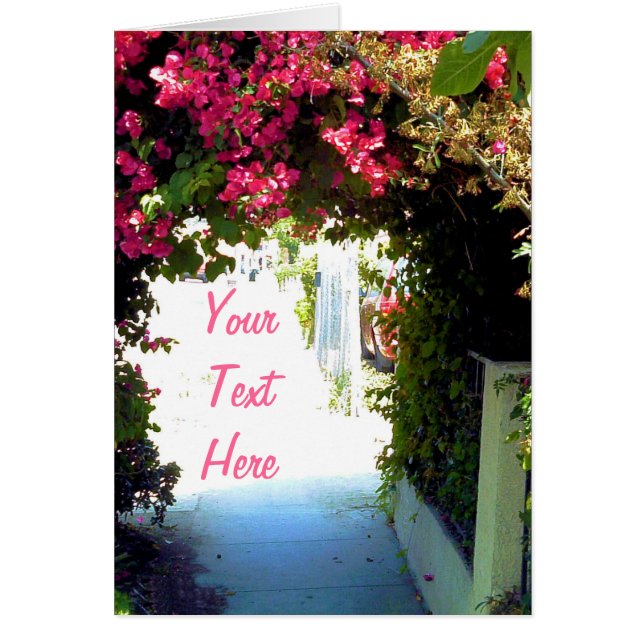 Bougainvillea (Voorkant)