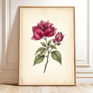 Bougainvillea Bloesem Kunstprint Poster