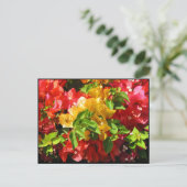 Bougainvillea Blossom Briefkaart (Staand voorkant)