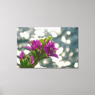 Bougainvillea Bokeh Zon Glitter Bloem Foto Canvas Afdruk