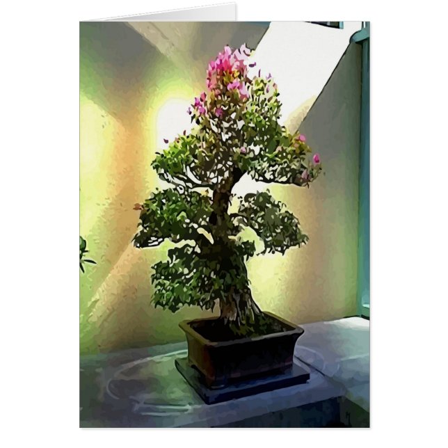 Bougainvillea Bonsai Tree (Voorkant)