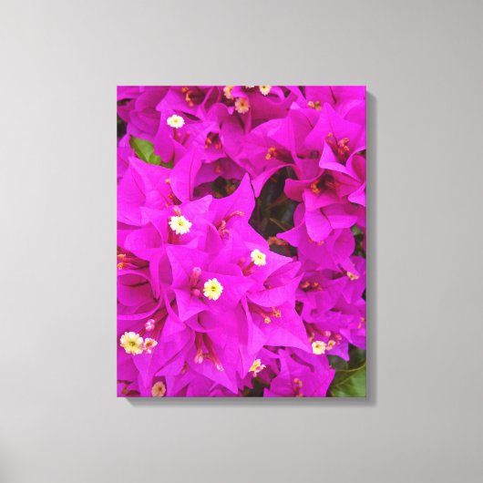 Bougainvillea Canvas Afdruk (Voorkant)