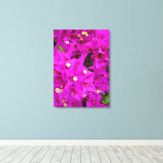Bougainvillea Canvas Afdruk (Insitu (Houten vloer))