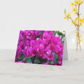 Bougainvillea - Carte de voeux (Fleur jaune)