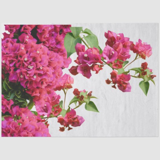 Bougainvillea Floral — Grieks eiland Tissuepapier (Voorkant)