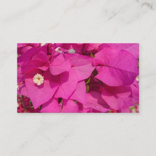 Bougainvillea Flower Visitekaartjes (Voorkant)