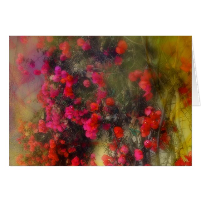 Bougainvillea Impressionist Card (Voorkant Horizontaal)