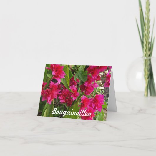Bougainvillea Notecards Kaart (Voorkant)