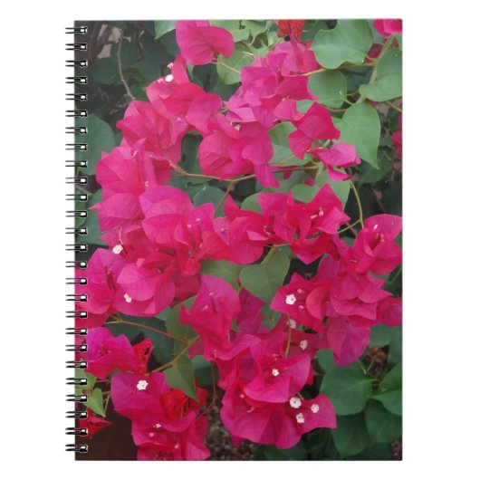 Bougainvillea Notitieboek (Voorkant)