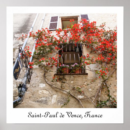 Bougainvillea op Window Poster (Voorkant)