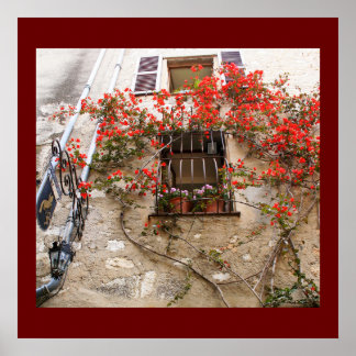 Bougainvillea op Window Poster