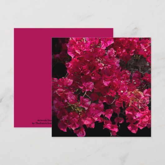 Bougainvillea Red Tropical Vining Shrub Foto Kaart (Voorkant / Achterkant)