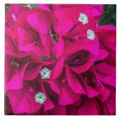 Bougainvillea Speaks for Itself Ceramic Tile Tegeltje (Voorkant)