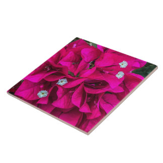 Bougainvillea Speaks for Itself Ceramic Tile Tegeltje