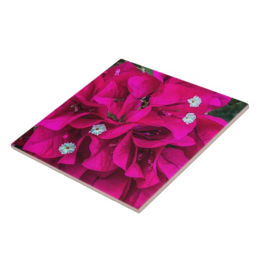 Bougainvillea Speaks for Itself Ceramic Tile Tegeltje (Zijkant)