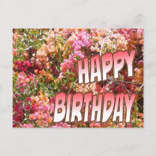 Bougainvillea Verjaardag Briefkaart Roze