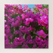Bougainvilliers roses, Puzzle (Vertical)