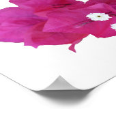 Bouganvilla-rand op lege achtergrond poster (Hoek)