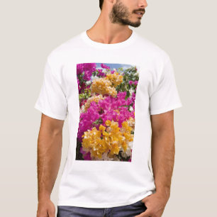 Bouganvilleau, Kaaimanbrak, Kaaimaneilanden, T-shirt