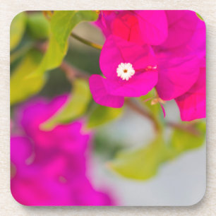 bouganvillia bloemen onderzetter