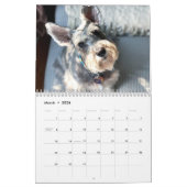 Bougez ! Super Owen le calendrier Schnauzer 2021 (Mar 2026)