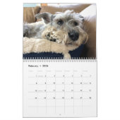 Bougez ! Super Owen le calendrier Schnauzer 2021 (Feb 2026)