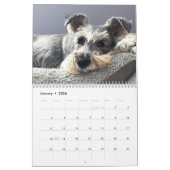 Bougez ! Super Owen le calendrier Schnauzer 2021 (Jan 2026)