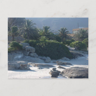 Boulders Beach - Cape Town Briefkaart