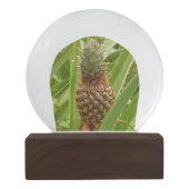 Boule À Neige Ananas sauvage Fruit tropical dans la nature (Dos)